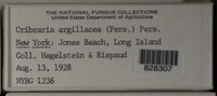 Image Associated With the Occurence